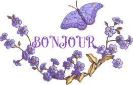 Gif animé bonjour papillons